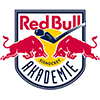 Red Bull Hockey Juniors
