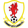 Cardiff City fc